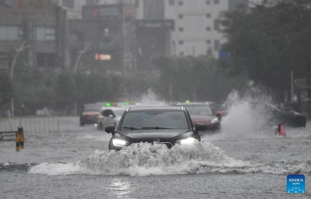 Hàng trăm cây đổ, hàng chục người nhập viện do bão Wipha ở Trung Quốc- Ảnh 4.