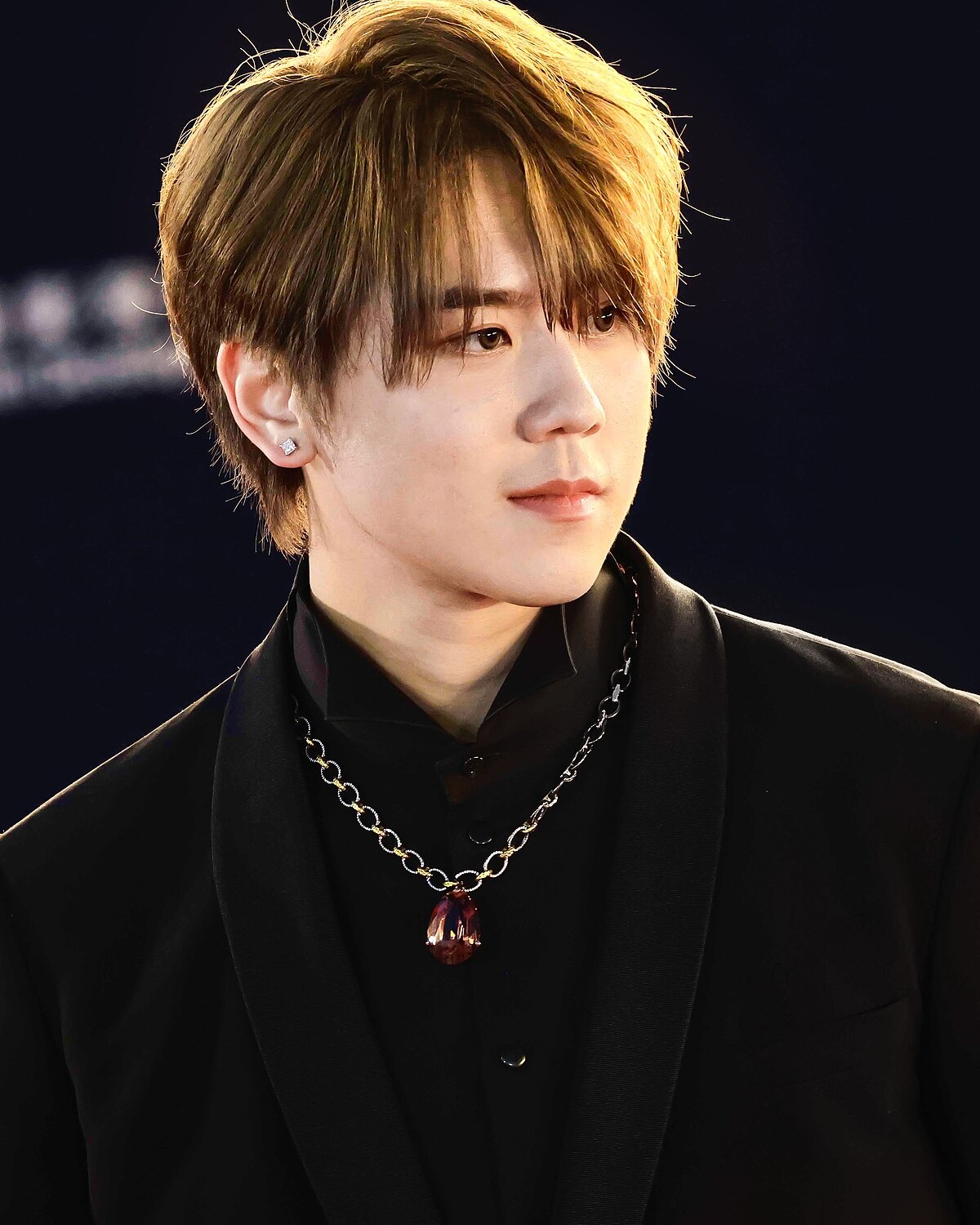 Nam ca sĩ đình đám rơi xuống biển, nghi vấn tự tử- Ảnh 3.