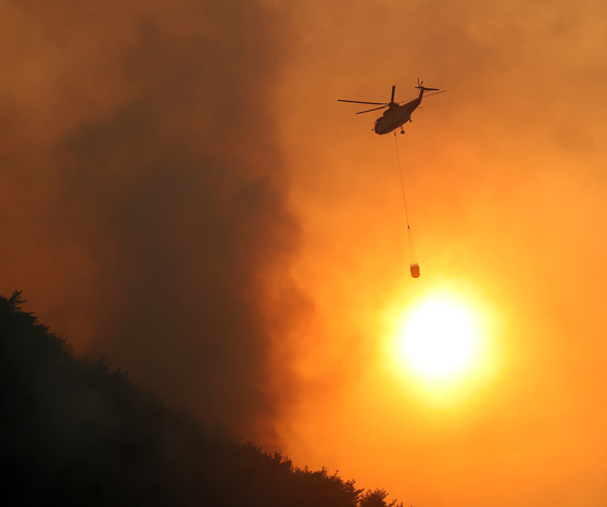 “Tại sao chuyện này lại xảy ra với bố tôi?”: Bi kịch cháy rừng kinh hoàng ở Hàn Quốc phơi bày một sự thật đau lòng- Ảnh 1.