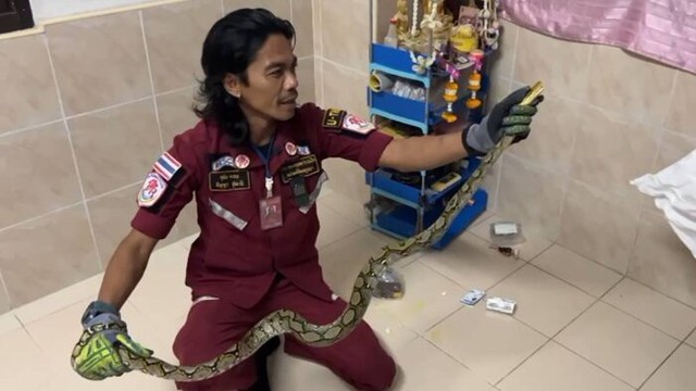 Trời nóng nên để cửa mở rồi đi ngủ cho mát, 3 giờ sáng cặp đôi tỉnh dậy phát hiện cảnh tượng đáng sợ- Ảnh 2.