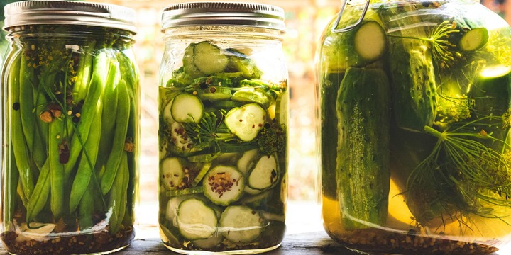 Dưa muối từng giúp những người Mỹ đầu tiên sống sót thế nào?- Ảnh 1.