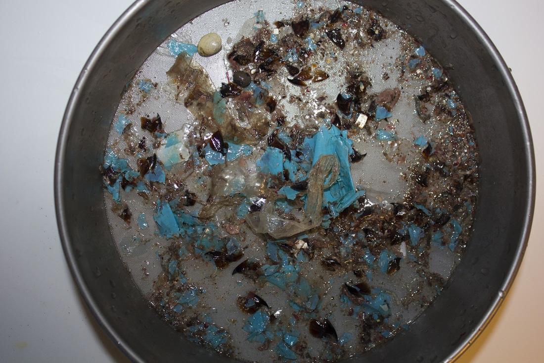 Bạn sẽ sốc khi biết có gì bên trong bụng chú cá voi này- Ảnh 3.