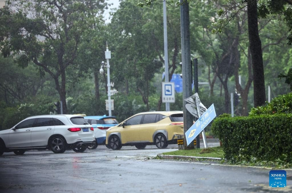 Hàng trăm cây đổ, hàng chục người nhập viện do bão Wipha ở Trung Quốc- Ảnh 5.