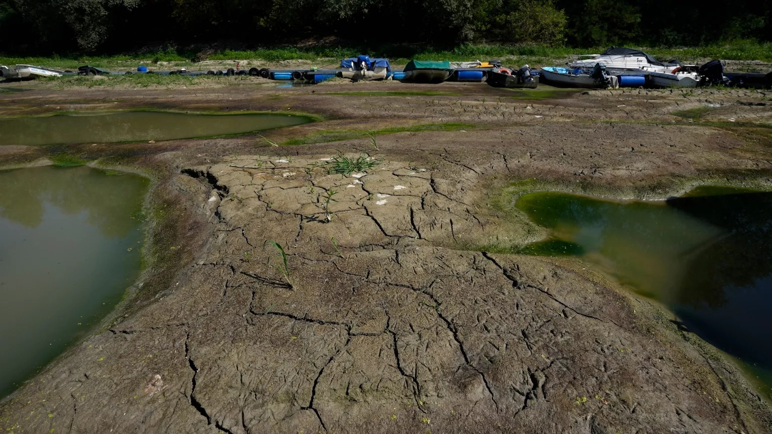 Châu Âu thiệt hại nặng vì nắng nóng- Ảnh 1.