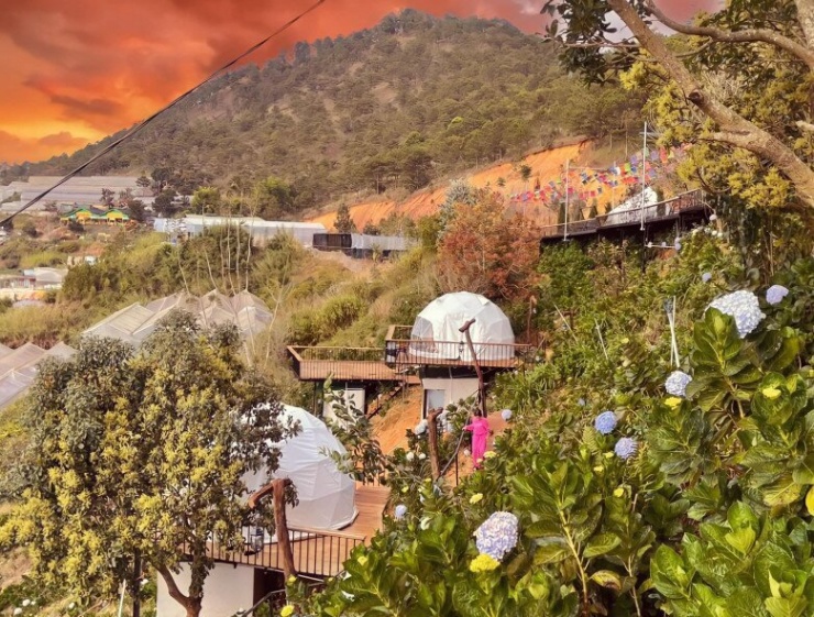 1736299195-nhac-si-giau-nhat-viet-nam-tang-vo-tre-biet-thu-10-ty-co-co-ngoi-1000m2-dep-nhu-mo-o-da-lat-6-9-n-6916-837-width780height591 "Nhạc sĩ giàu nhất Việt Nam" tặng vợ trẻ biệt thự 10 tỷ, có cơ ngơi 1.000m2 đẹp như mơ ở Đà Lạt 1736299195 nhac si giau nhat viet nam tang vo tre biet thu 10 ty co co ngoi 1000m2 dep nhu mo o da lat 6 9 n 6916 837 width780height591