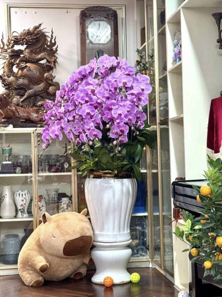 Quang cảnh nhà NSND Tự Long: Chưa đến Tết đã ngập cả