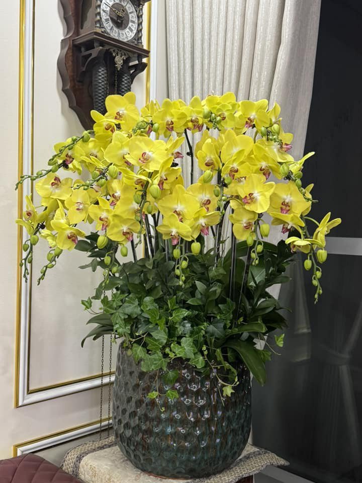 Quang cảnh nhà NSND Tự Long: Chưa đến Tết đã ngập cả