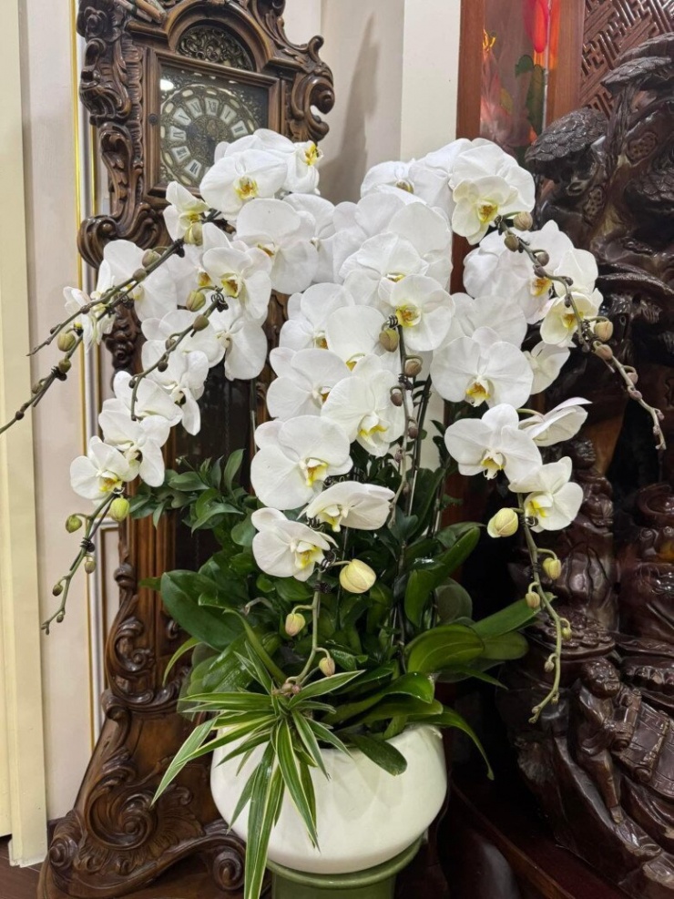 Quang cảnh nhà NSND Tự Long: Chưa đến Tết đã ngập cả