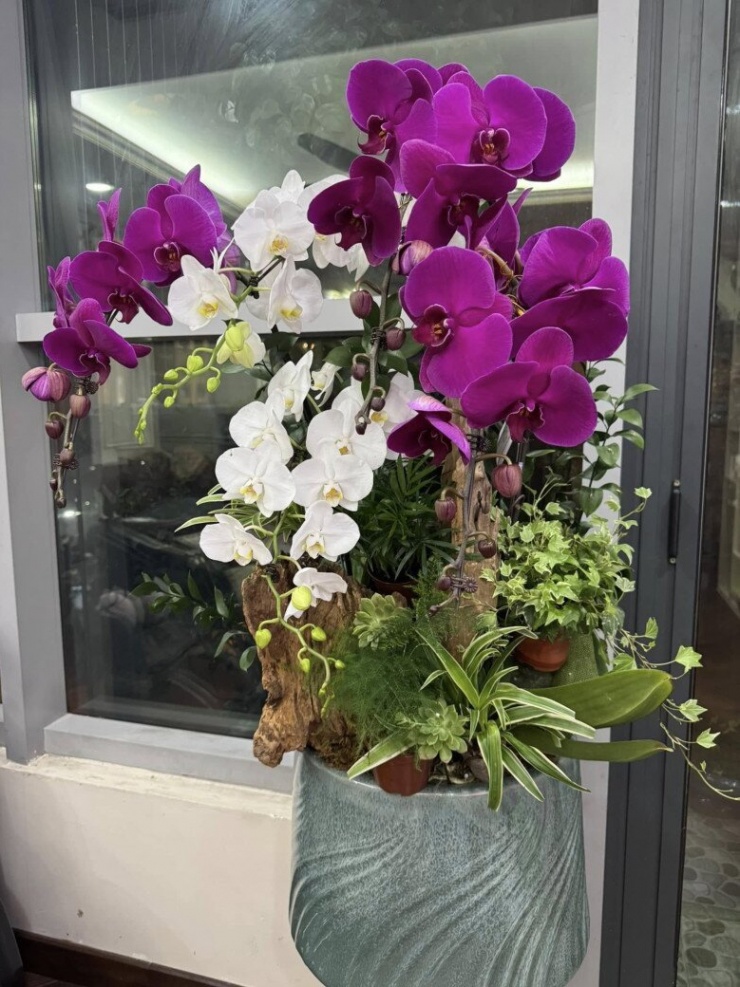 Quang cảnh nhà NSND Tự Long: Chưa đến Tết đã ngập cả