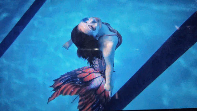 1737445260-ca-2-02580-width640height360 Dạ Điệp chia sẻ rằng, việc lặn tiên cá giúp cô cảm thấy bản thân như một thành viên của đại dương.