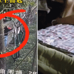 Cha già nằm viện, con trai dọn dẹp nhà cửa vô tình vứt bỏ cả 'gia tài' 1737732143 46tjnyuthkr 76274