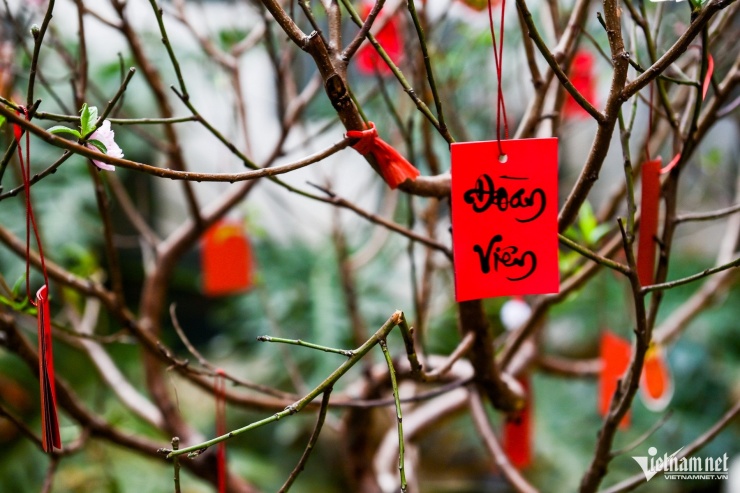 1737782601-w-xuan-son-5-48750-width1900height1267 Vợ cầu thủ Xuân Son trang trí nhà cửa đón chồng về ăn Tết, phát lì xì cho fan nhí - 7