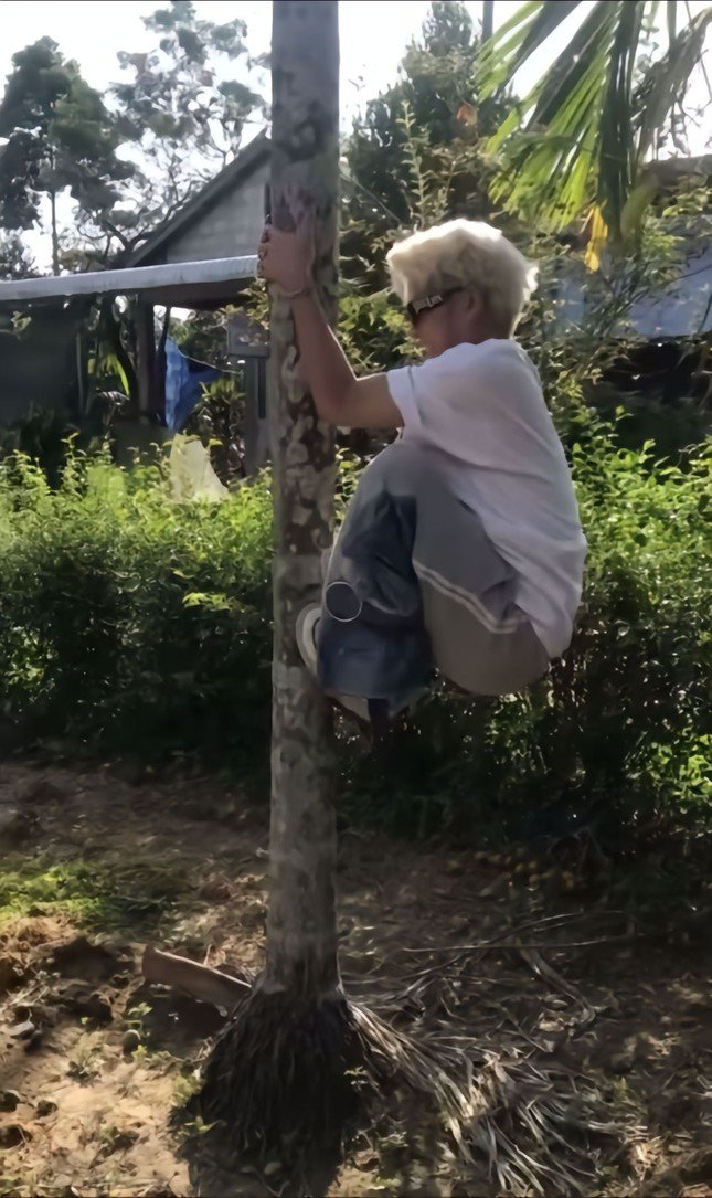 1738106729-261-0740-0-n-7130-738-width645height1085 Còn đâu hình ảnh