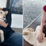 Từng giữ im lặng, Tiểu Vy bất ngờ làm rõ tin đồn tình cảm với diễn viên người Thái 1738816811 721 thumbnail width740height495 anh cat 3 2 auto cropjpg 1