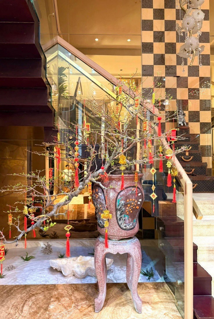 1739522075-4-4665-1-77906-width1200height1799 Chậu mai vàng tô điểm không gian sống của Đàm Vĩnh Hưng.