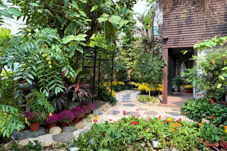 1739522076-2a-5118-0-77787-width1200height800 Ngoài vườn, Đàm Vĩnh Hưng cho trồng nhiều cây, các chậu cúc nhỏ.