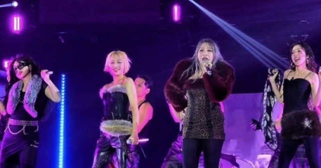 2NE1 'cháy' cùng hàng nghìn fan Việt 1739685271 54 thumbnail width740height495 anh cat 3 2 auto cropjpg 1