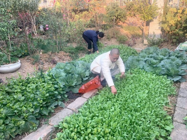 "Cụ Đoành" Trần Bình Trọng khoe nhà ở quê có vườn rau xanh mướt, cơ ngơi đang sống sang trọng "hết nước chấm" 1740709707 cu doanh tran binh trong khoe nha o que co vuon rau xanh muot co ngoi dang song sang trong het nuoc 7 0 n 2690 374 width780height585