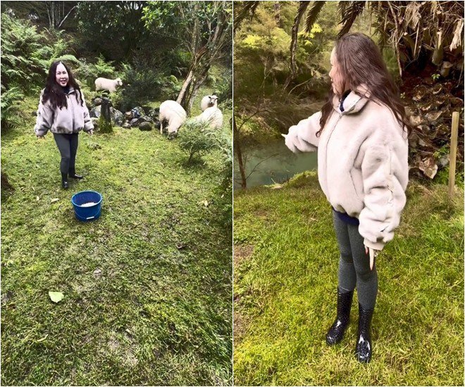 Trong vườn có đồng cỏ xanh rì. Gia đình cô còn nuôi cả những con cừu. Nữ diễn viên cho cừu ăn ở bãi cỏ bên bờ suối.