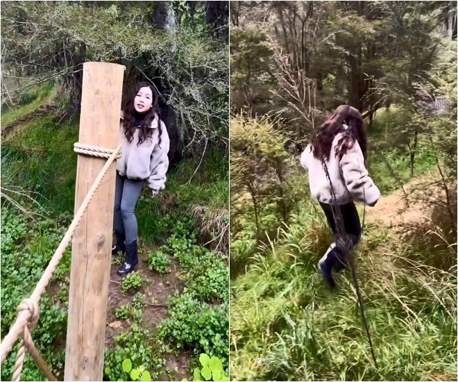 Khu vườn tự nhiên giống như khu rừng.