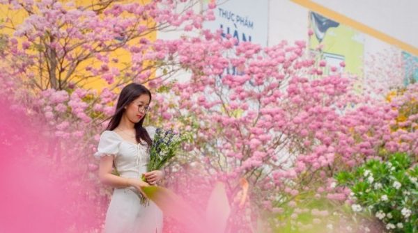 Nàng thơ đẹp lãng mạn giữa sắc hoa kèn hồng Biên Hòa 1742264734 785 thumbnail width740height495 anh cat 3 2 auto cropjpg