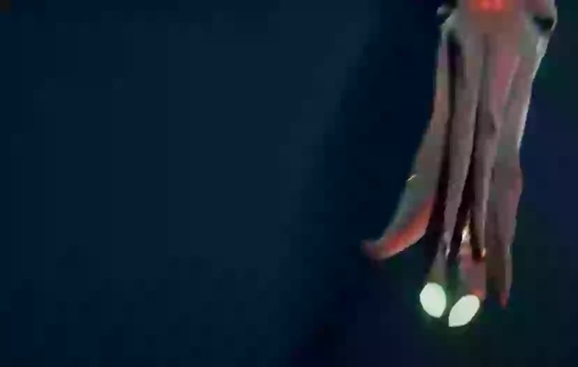 Đặt camera xuống biển sâu, phát hiện hình ảnh rùng rợn- Ảnh 1.