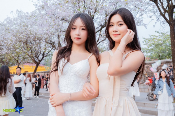 'Nàng thơ' đổ xô về con đường hoa ban chụp ảnh ở Hà Nội - 6