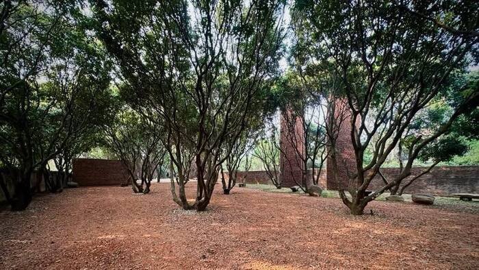 Ánh nắng của một ngày lan toả trong từng không gian. Với lối kiến trúc gợi mở, các vùng sáng đều được lấy tự nhiên. 