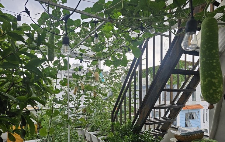 Sân thượng hiện tại có hai tầng