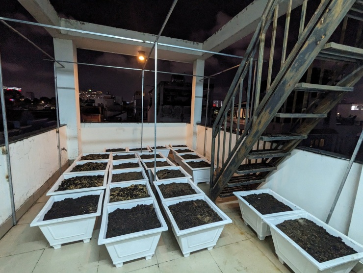 Chàng trai biến sân thượng ở TPHCM thành 'vườn chữa lành' sum sê - 3
