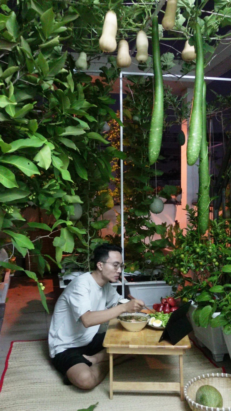 Chàng trai biến sân thượng ở TPHCM thành 'vườn chữa lành' sum sê - 5