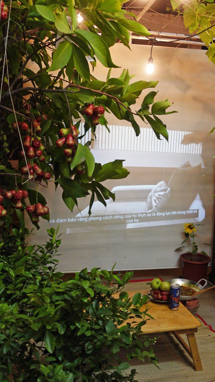 Khu vườn phía dưới, ngay trước cửa phòng trở thành không gian thư giãn mỗi tối của anh Trí
