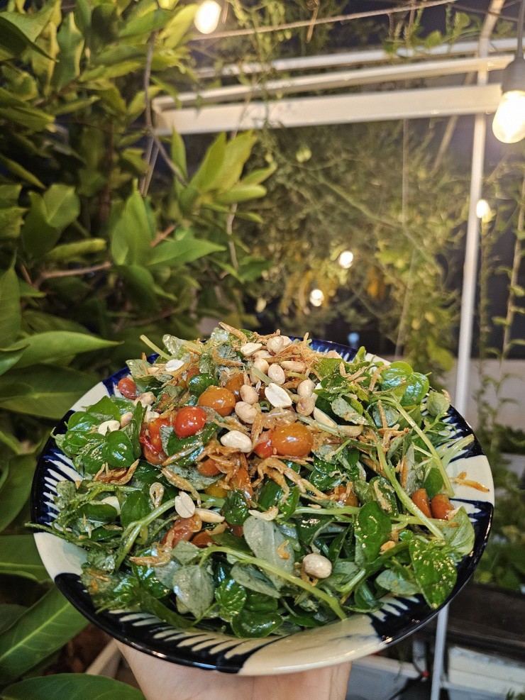 Chàng trai biến sân thượng ở TPHCM thành 'vườn chữa lành' sum sê - 10