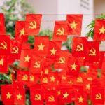 Hạnh phúc khi được sống trong hòa bình 1744253060 810 thumbnail width740height495 anh cat 3 2 auto cropjpg