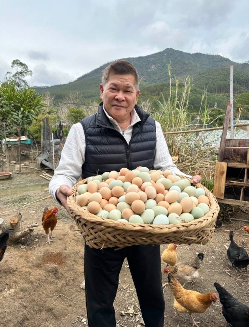 Nam diễn viên hạng A phá sản vì món nợ 191 tỷ, lâm cảnh thảm về quê bán trứng gà, khoai lang kiếm sống- Ảnh 2.