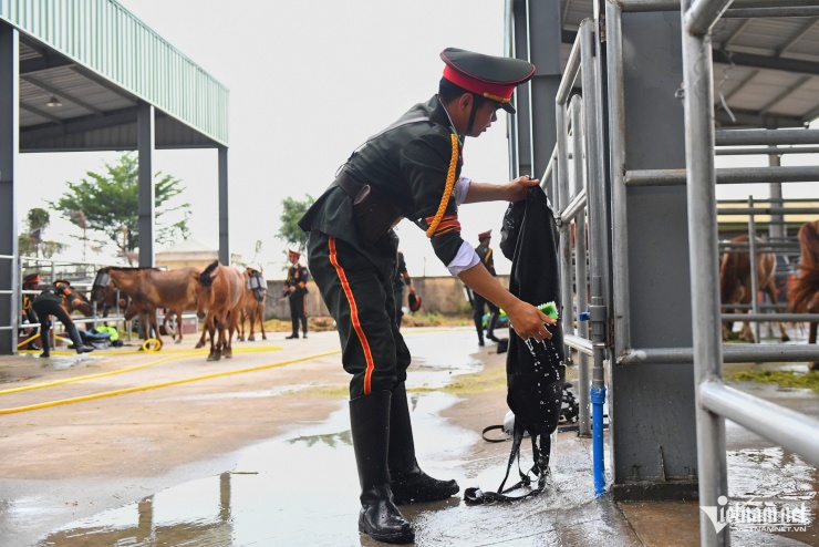 21 cán bộ chăn nuôi, thú y đi cùng đoàn để chăm sóc sức khỏe, dinh dưỡng cho đoàn ngựa kỵ binh