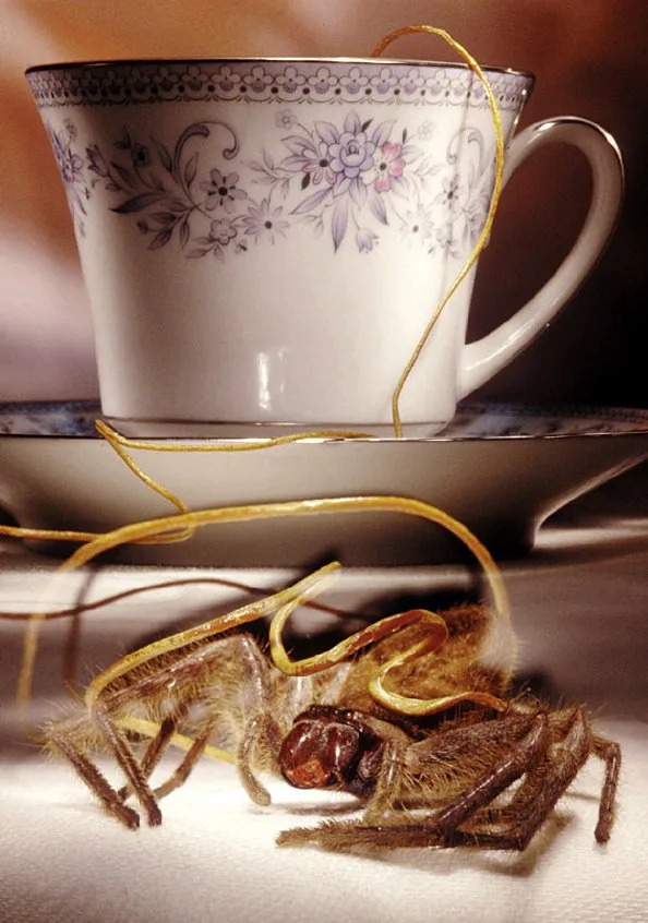 Phát hiện kinh dị của người phụ nữ trong phòng tắm- Ảnh 2.