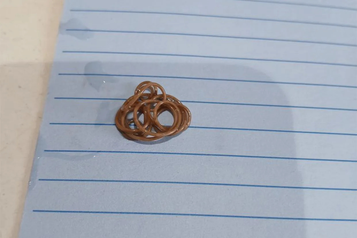 Phát hiện kinh dị của người phụ nữ trong phòng tắm- Ảnh 1.