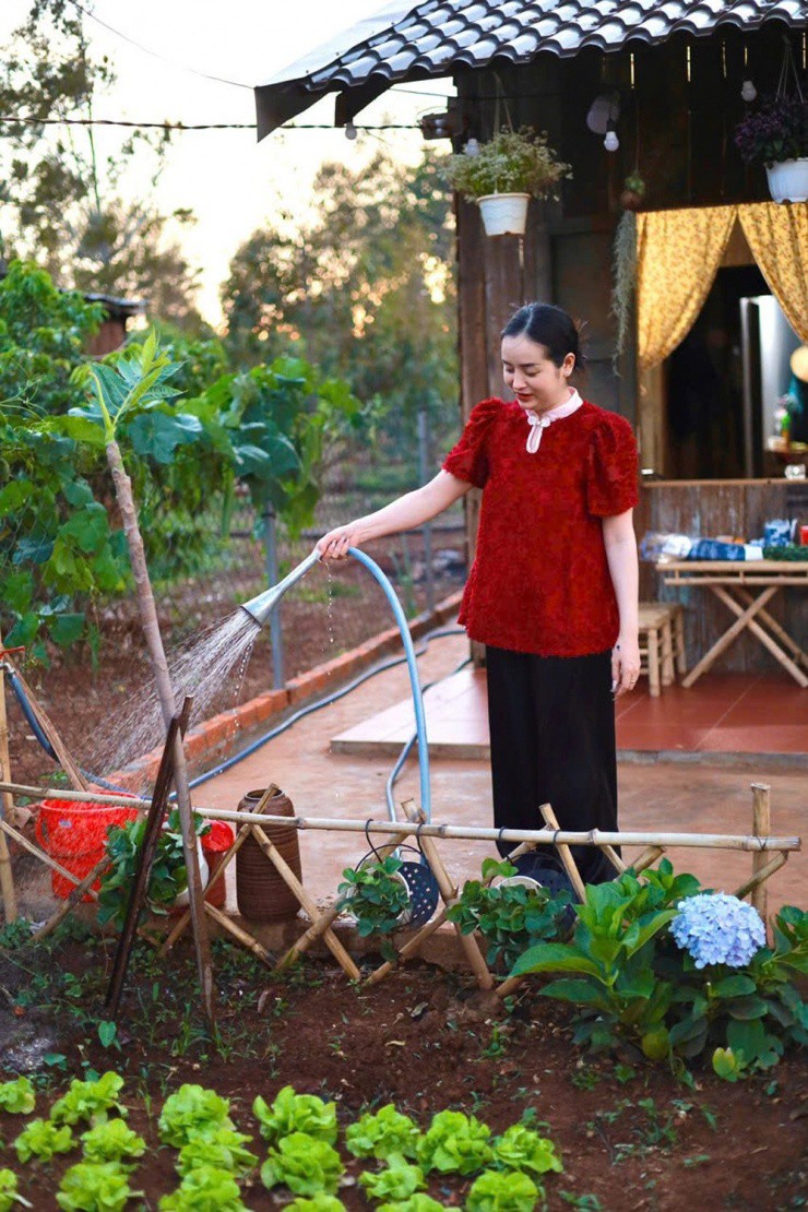 Cô gái Đắk Lắk tự mua đất, làm nhà gỗ, tạo không gian sống đẹp mê mẩn - 2