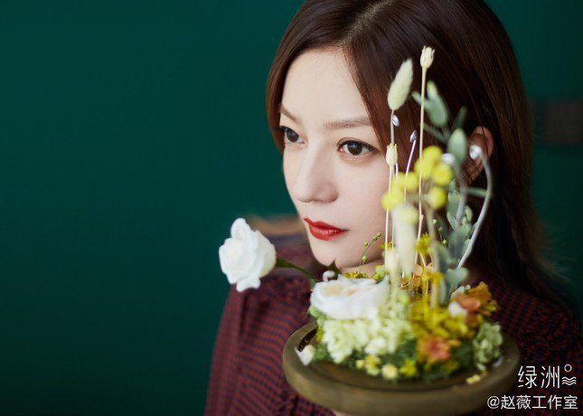 Cho đến nay, chính quyền Trung Quốc chưa bao giờ công bố lý do chính thức cho việc