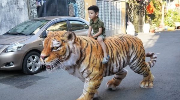 Chàng trai làm mô hình hổ sống động, xôn xao hẻm nhỏ TPHCM 1746493861 464 thumbnail width740height495 anh cat 3 2 auto cropjpg