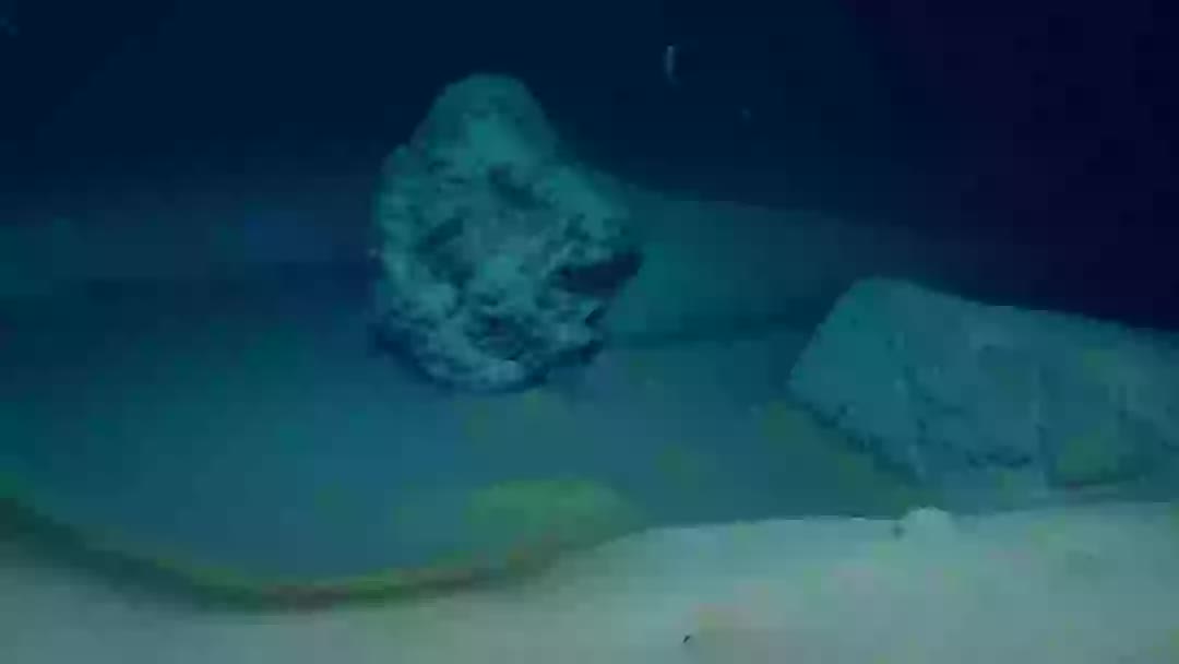 Chạm tới đáy Biển Đỏ, các nhà khoa học có phát hiện lạnh lùng và ảm đạm về cả vũ trụ- Ảnh 1.