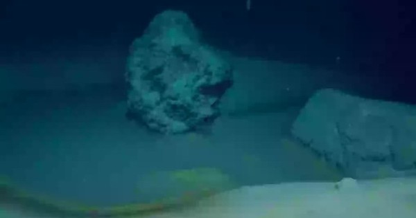 Chạm tới đáy Biển Đỏ, các nhà khoa học có phát hiện lạnh lùng và ảm đạm về cả vũ trụ 17473854010651003908582 0 0 638 1021 crop 174738548098893022579 1747400868631 17474008687331632689339 0 0 477 763 crop 17474008896951647513408jpg