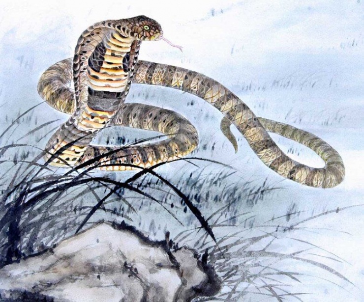 4 con giáp có tầm nhìn độc đáo, nửa cuối năm lội ngược dòng ngoạn mục - 2