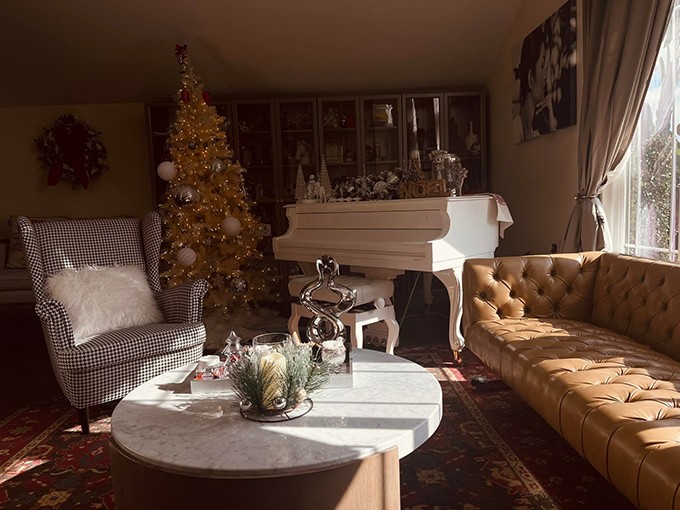 1748852753-nguyen-hong-nhung-6-3565-8-84931-width680height510 Làm mẹ đơn thân, nuôi con tự kỷ 13 tuổi chưa biết nhai, ca sĩ Nguyễn Hồng Nhung vẫn sống sung túc ở Mỹ trong biệt thự 200m2 - 11