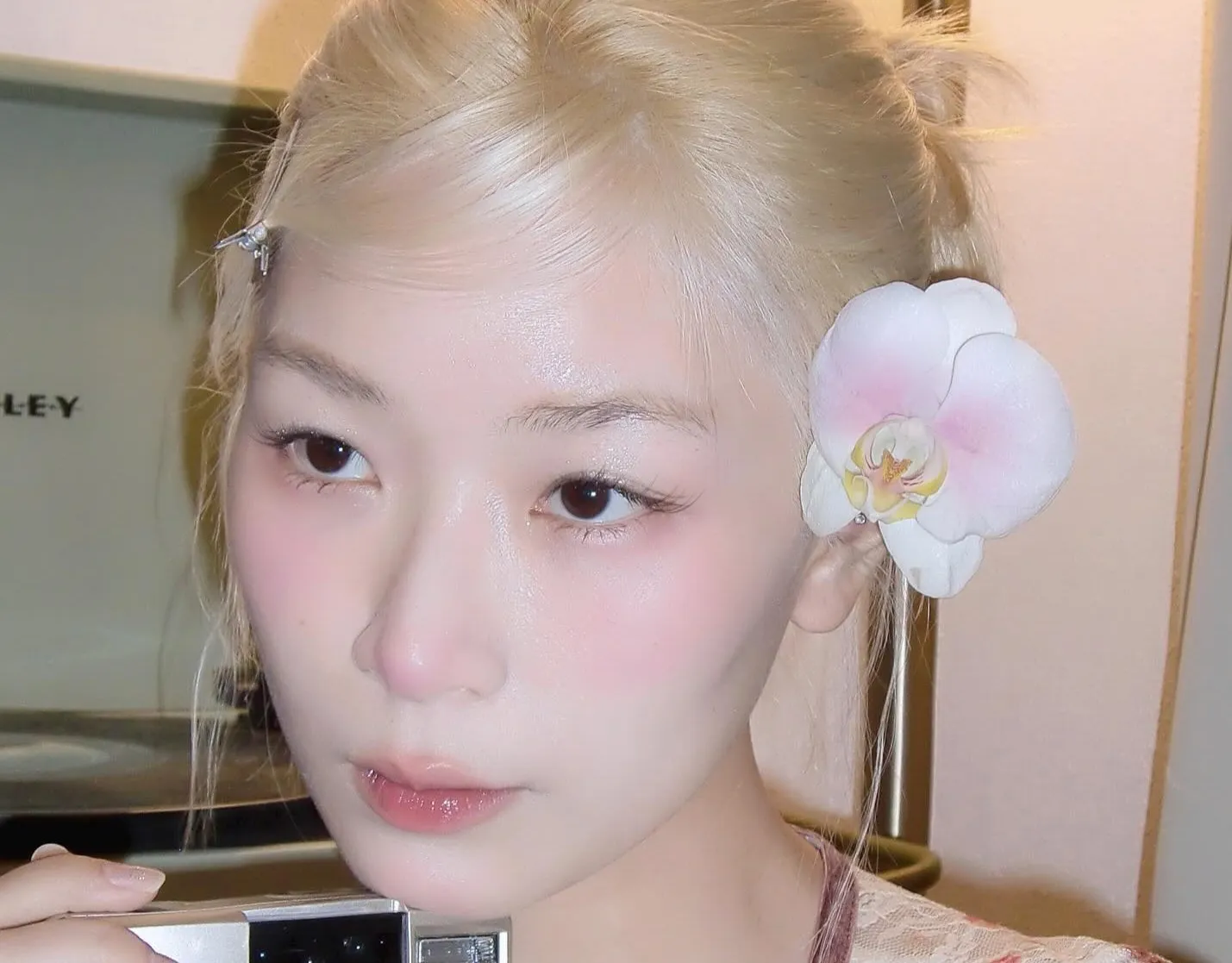 Thạch Trang bị tố đạo nhái ý tưởng của họa sĩ người Nhật.