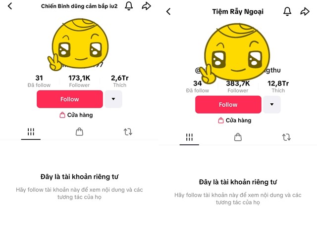 Hai tài khoản mạng xã hội TikTok của chị Thu Hòa đều đang để ở chế độ riêng tư.