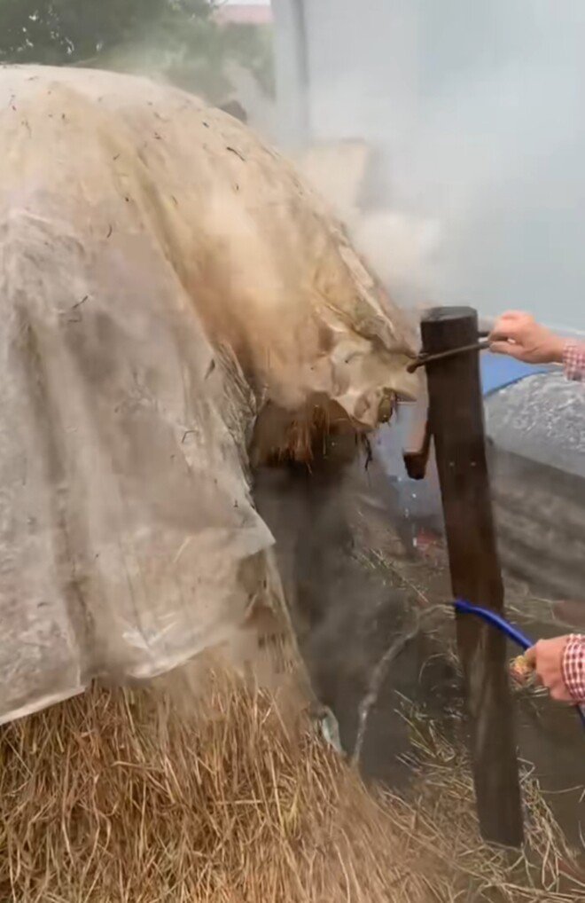 Mới nửa tháng, khối nghỉ hè đã khiến bố mẹ