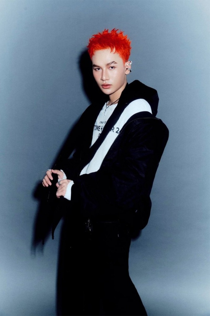 Ca sĩ Ali Hoàng Dương.