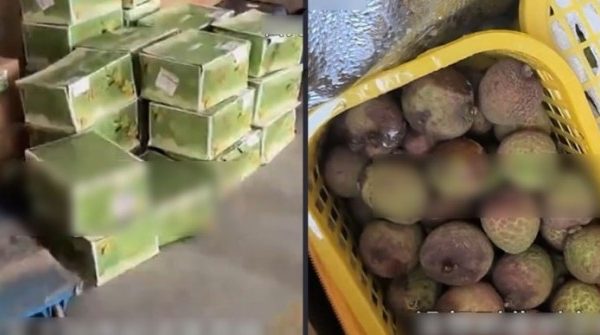 Giận dỗi bố, bé trai chi 38 triệu mua 26 thùng vải cao cấp qua mạng 1750731203 841 thumbnail width740height495 anh cat 3 2 auto cropjpg